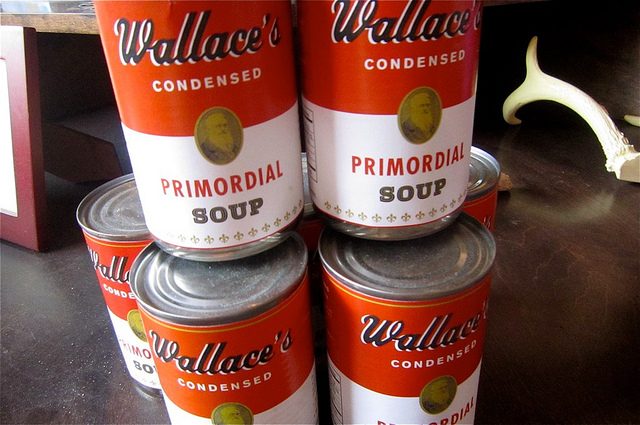 vocabhunt-learn-english-vocabulary-primordial-soup